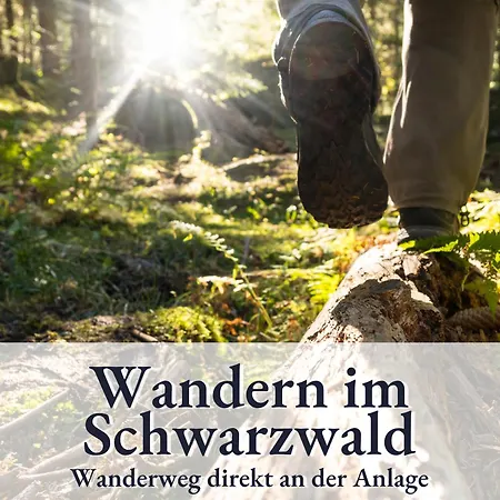 Apartment Schonach 128 Mit Pool, Massagesessel, Kueche Schonach im Schwarzwald